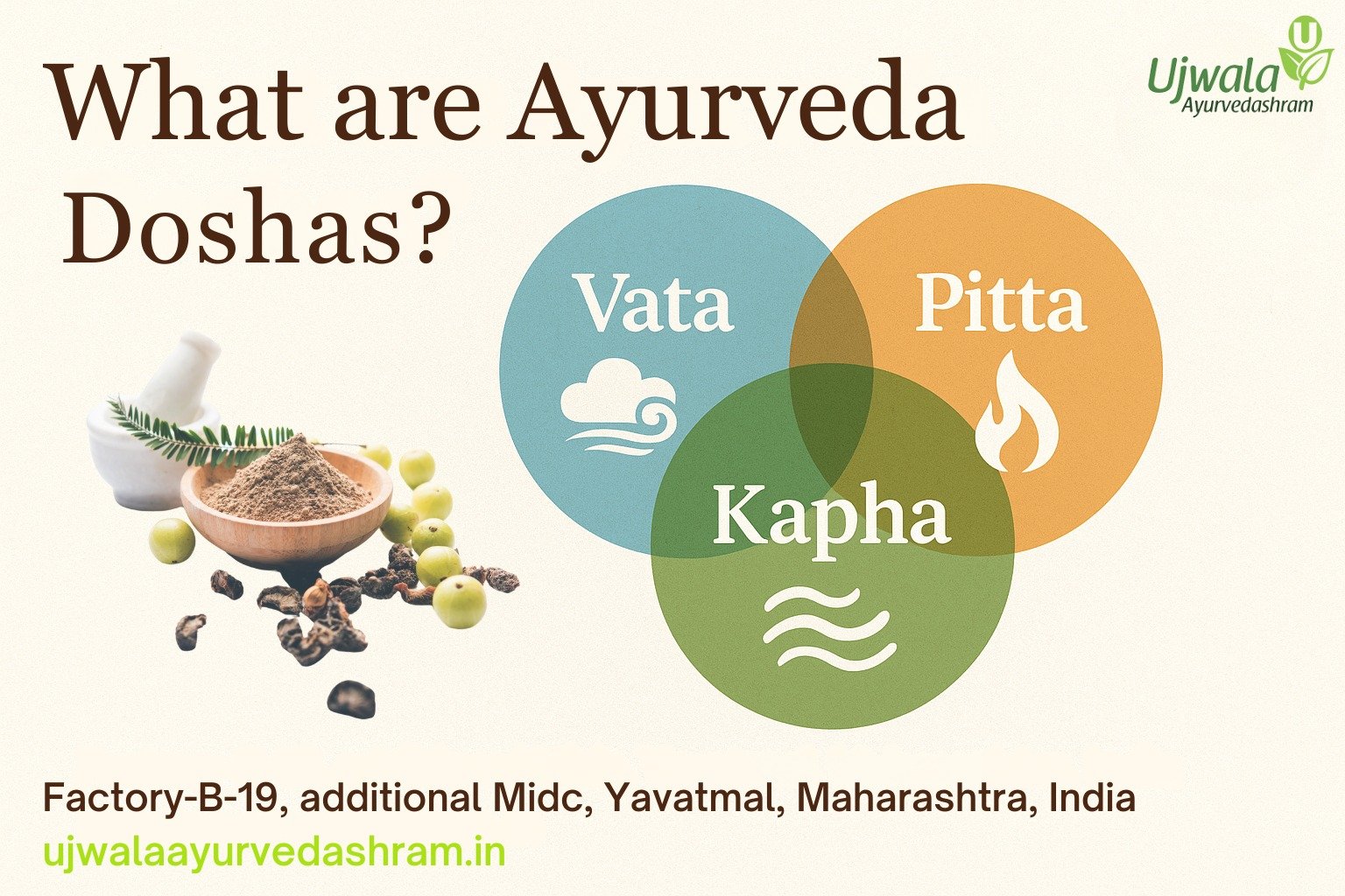 Ayurveda doshas