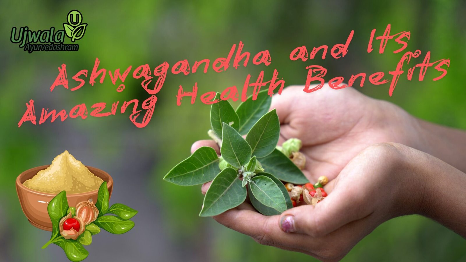 Ashwagandha health benefits