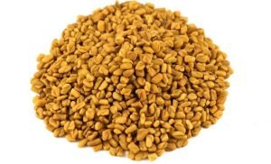 Methi Fenugreek Seed