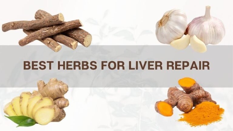 Best Herbs for Liver Repair