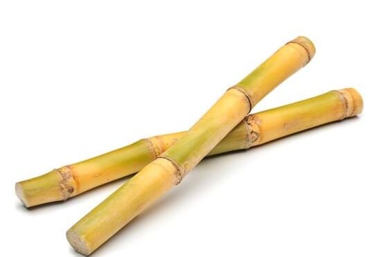 sugarcane 