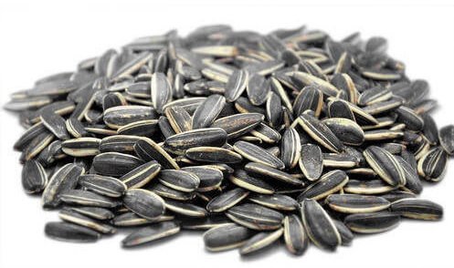 Sunflower seeds