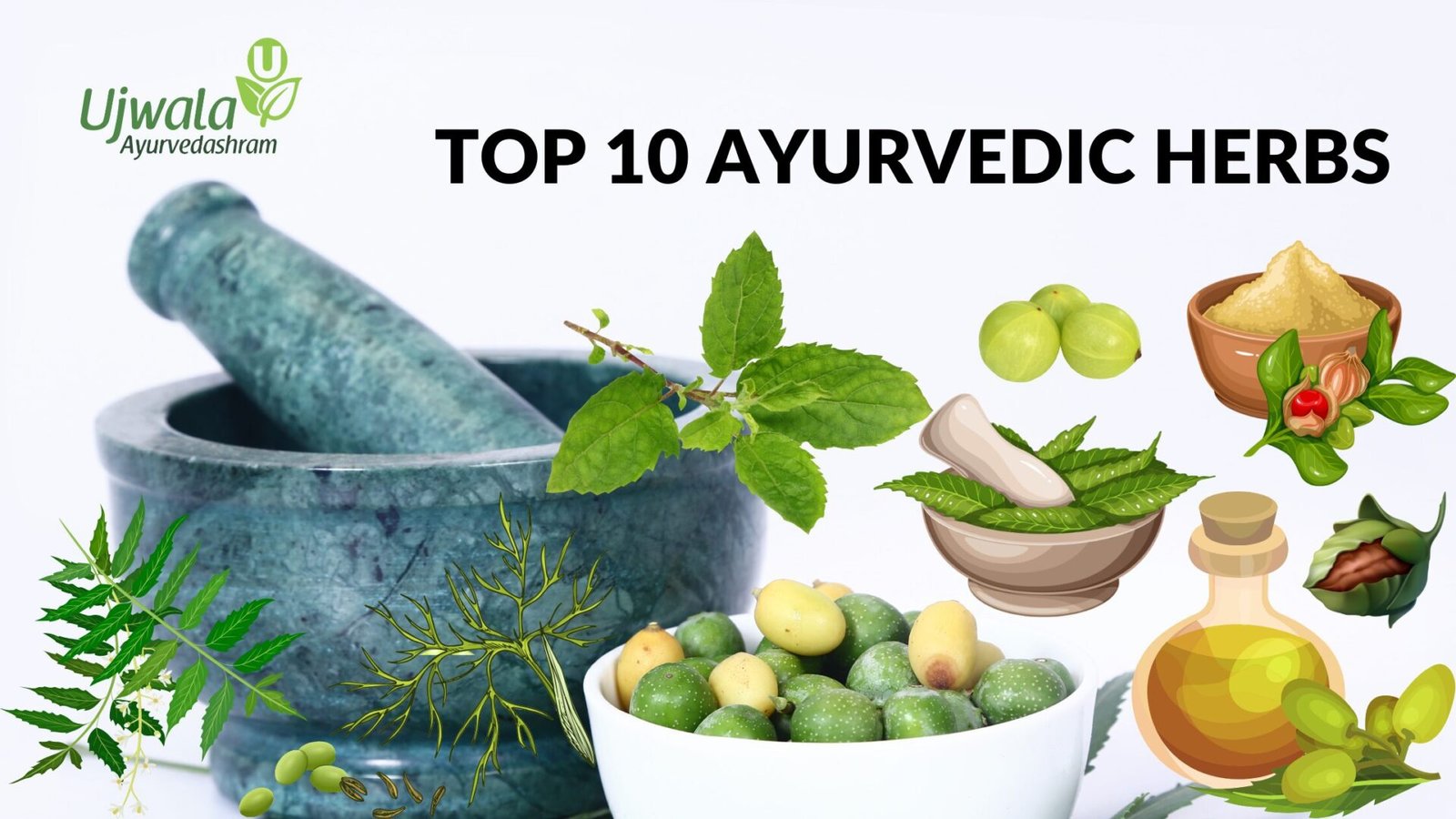 Top 10 Ayurvedic Herbs