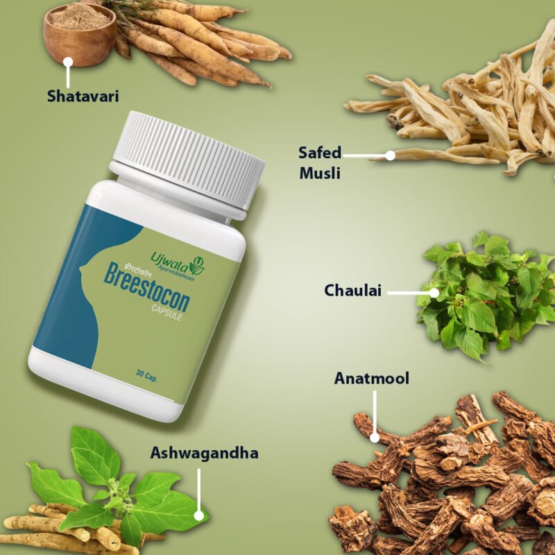 Breestocon Capsule Pack of 3