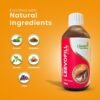 Leevofill Syrup (200ML)