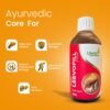 Leevofill Syrup (200ML)